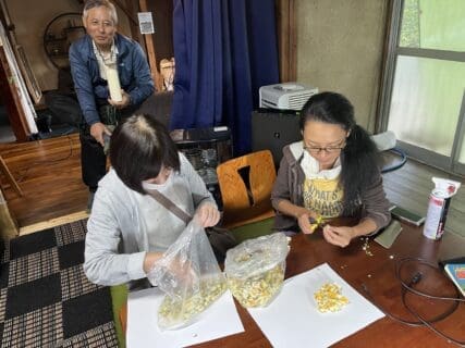 お茶の花の撮影